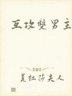 互攻双男主小说