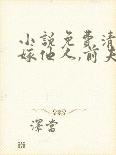 小说免费清醒改嫁他人,前夫他彻底失控