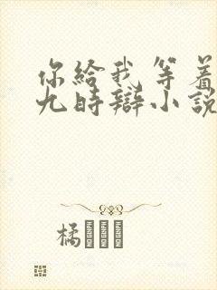 你给我等着by九时辩小说txt