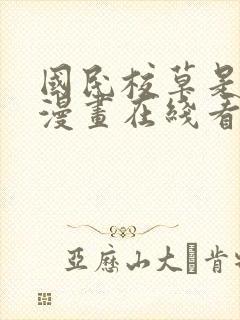 国民校草是女生漫画在线看免费