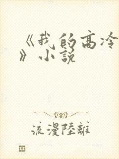 《我的高冷女神》小说