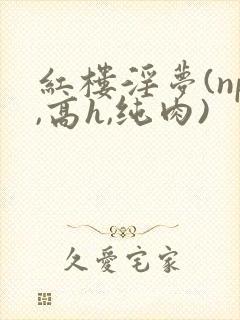 红楼淫梦(np,高h,纯肉)