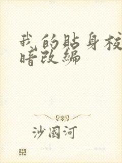 我的贴身校花黑暗改编封面