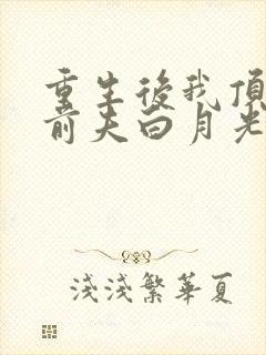 重生后我顶替了前夫白月光有声