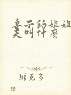 妻子的姐姐的丈夫叫什么封面