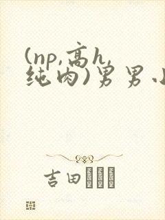 (np,高h,纯肉)男男小说封面