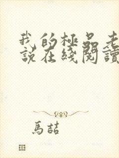 我的极品老婆小说在线阅读