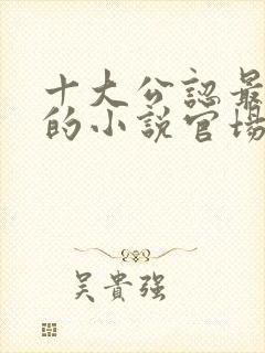 十大公认最好看的小说官场