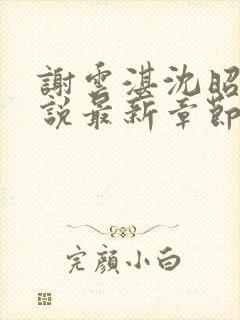 谢云湛沈昭月小说最新章节