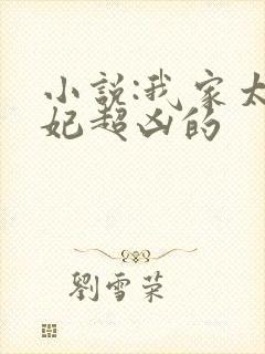 小说:我家太子妃超凶的