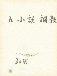 h 小说 调教