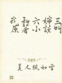 我和六婶三十年原著小说叫什么名字