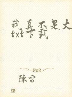 我真不是大佬 txt下载