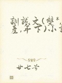 训诫文(双*,产,年下)小说