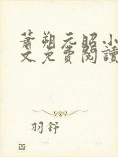 萧朔元昭小说全文免费阅读