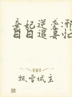 弃妃逆袭:邪王日日追妻忙小说阅读