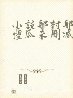 小说那村那人那傻瓜未删减版封面