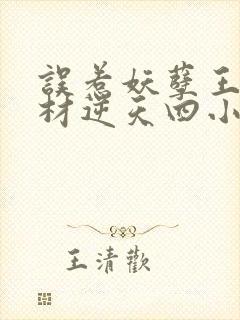 误惹妖孽王爷废材逆天四小姐 小说