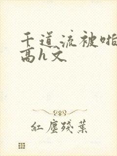 千道流被啪纯肉高h文