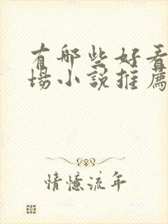 有哪些好看的官场小说推荐封面