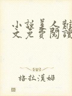 小说美人难嫁全文免费阅读封面