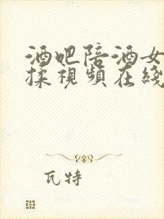 酒吧陪酒女奶摸揉视频在线观看