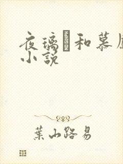 夜璃玦和慕凤烟小说