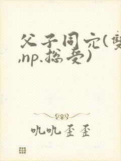 父子同穴(双性,np.总受)