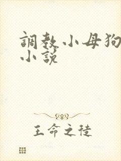 调教小母狗sm小说
