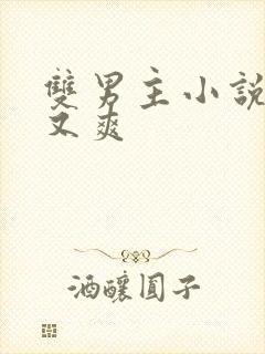 双男主小说又糙又爽