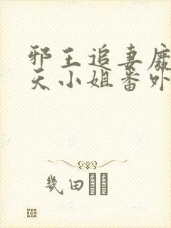 邪王追妻废材逆天小姐番外篇