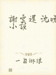 谢云迟 沈晚梨小说