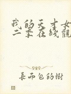 我的天才女友第二季在线观看封面