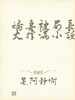 娇妻被局长的粗大撑满小说