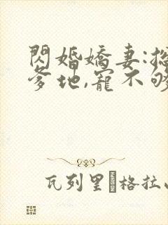 闪婚娇妻:总裁爹地,宠不够封面