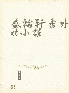 盛轮轩番外篇txt小说