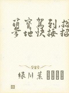 萌宝驾到,总裁爹地快接招