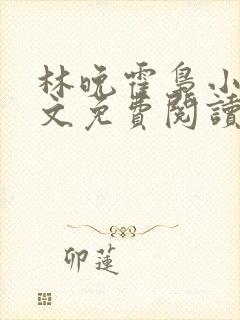 林晚霍枭小说全文免费阅读
