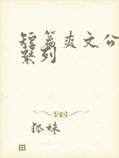 短篇爽文公交车系列