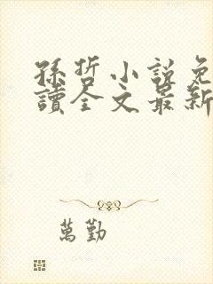 孙哲小说免费阅读全文最新章节