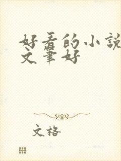 好看的小说言情文笔好封面