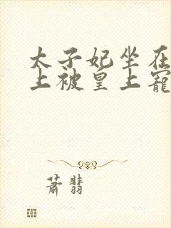 太子妃坐在龙椅上被皇上宠幸的小说封面