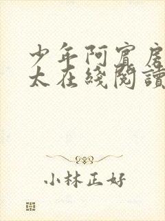 少年阿宾房东太太在线阅读第二章