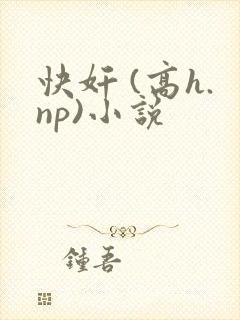 快奸 (高h.np)小说