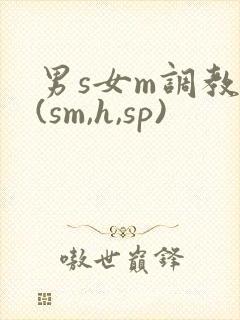 男s女m调教文(sm,h,sp)