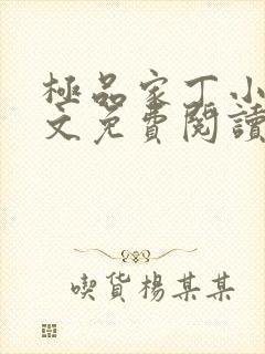 极品家丁小说全文免费阅读笔趣阁