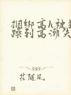 捆绑高h被狂c躁到高潮失禁小说封面