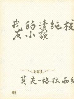 我的清纯校花女友小说