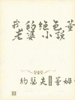 我的绝色董事长老婆 小说