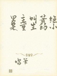 男主叫萧绝女主是重生的小说封面